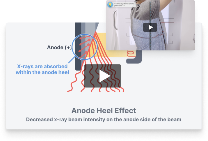 home-feature-video-mobile